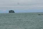 PICTURES/Rialto Beach/t_Flying Gulls3.JPG